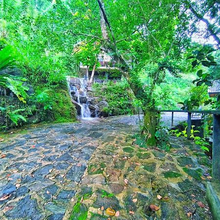 Forest Shade Eco Resort Deraniyagala Exterior photo